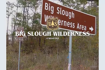 00 Forest Service Road 511, Grapeland, TX 75844 - Photo 23