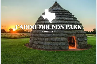 00 Forest Service Road 511, Grapeland, TX 75844 - Photo 25