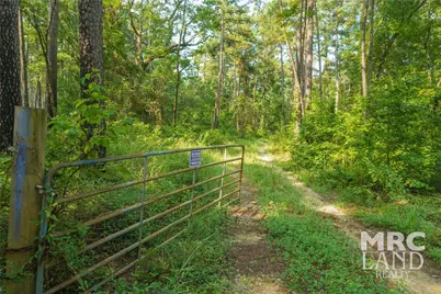 00 Forest Service Road 511, Grapeland, TX 75844 - Photo 7