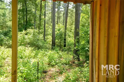 00 Forest Service Road 511, Grapeland, TX 75844 - Photo 37