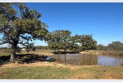 4834 Old Boone Prairie Road - 108 Acres, Franklin, TX 77856 - Photo 5