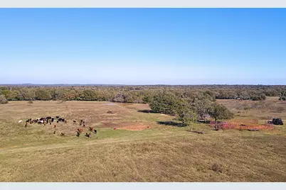 4834 Old Boone Prairie Road - 108 Acres, Franklin, TX 77856 - Photo 25