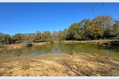 4834 Old Boone Prairie Road - 108 Acres, Franklin, TX 77856 - Photo 9