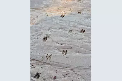 000 Lakeland Drive, Hillister, TX 77624 - Photo 1