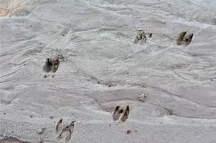 000 Lakeland Dr, Hillister, TX 77624 - Photo 1