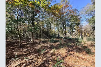 000 Lakeland Drive, Hillister, TX 77624 - Photo 5