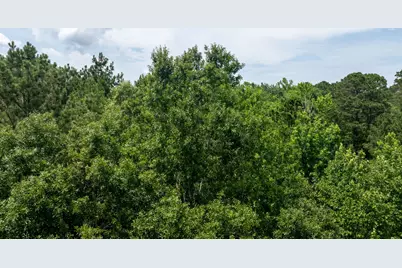 781 Mason Lane, Milam, TX 75959 - Photo 15