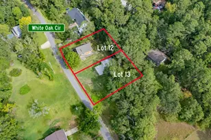 161 White Oak St, Point Blank, TX 77364 - Photo 3