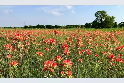 923 County Road 138, Cameron, TX 76520 - Photo 9