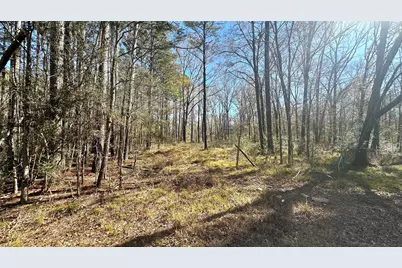 0 Royal Springs Rd Road, Conroe, TX 77303 - Photo 7