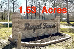 0 Royal Springs Rd Rd, Conroe, TX 77303 - Photo 1