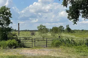 5328 Fm 3013 Rd, Sealy, TX 77474 - Photo 1