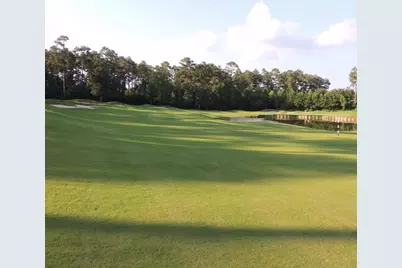 479 Cherry Hills Drive, Huntsville, TX 77340 - Photo 7