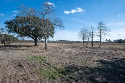 11719 Pursley Boulevard, Rosharon, TX 77583 - Photo 7