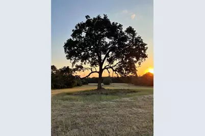 Tbd Pr 1316, Centerville, TX 75833 - Photo 39