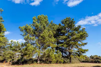 Tbd Pr 1316, Centerville, TX 75833 - Photo 19