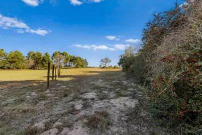 Tbd Pr 1316, Centerville, TX 75833 - Photo 23