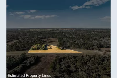 Tbd Pr 1316, Centerville, TX 75833 - Photo 5