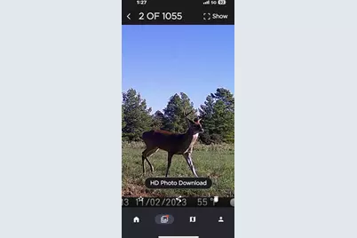 Tbd Pr 1316, Centerville, TX 75833 - Photo 11