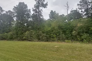 0 FM247, Midway, TX 77320 - Photo 1