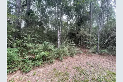 0 Corolla Road, Magnolia, TX 77354 - Photo 5