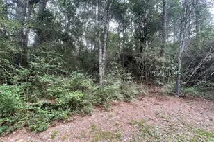 0 Corolla Rd, Magnolia, TX 77354 - Photo 5