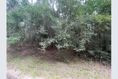 0 Corolla Road, Magnolia, TX 77354 - Photo 7