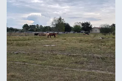 36847 Richard Frey 2-10 Road #10, Hempstead, TX 77445 - Photo 15