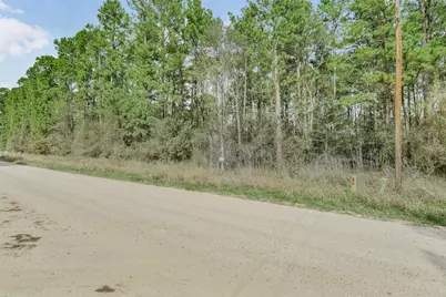 Lot 719 Sand Dollar Drive, Livingston, TX 77351 - Photo 13