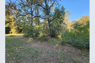 0 Hackberry Drive, Onalaska, TX 77360 - Photo 5