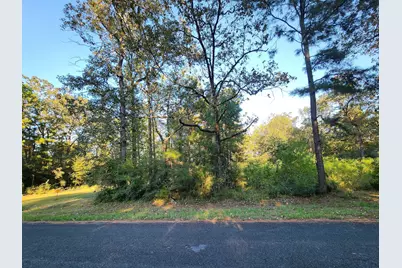 0 Hackberry Drive, Onalaska, TX 77360 - Photo 1