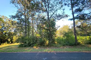 0 Hackberry Dr, Onalaska, TX 77360 - Photo 1