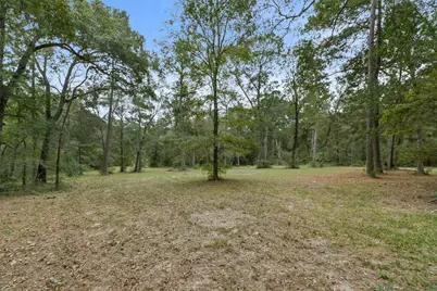 17174 Tierra Buena Drive, Plantersville, TX 77363 - Photo 45