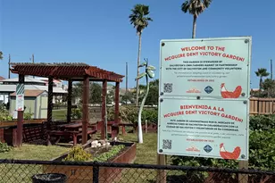 2211 28th St, Galveston, TX 77550 - Photo 41