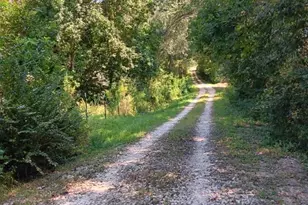 130 Donkey Trail, Coldspring, TX 77331 - Photo 11