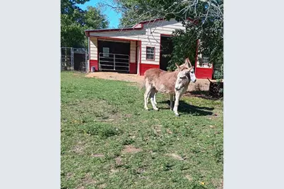 130 Donkey Trail, Coldspring, TX 77331 - Photo 5