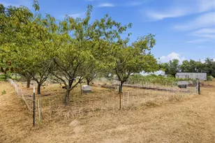 1708 W Frank St, Grand Saline, TX 75140 - Photo 29