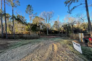 11351 Annie Creek Dr, Willis, TX 77378 - Photo 1