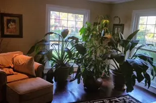 3328 Southmore Blvd, Houston, TX 77004 - Photo 3