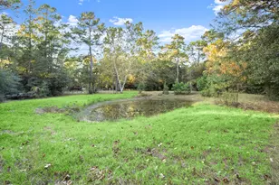 23016 Glenwood Blvd, Hockley, TX 77447 - Photo 9