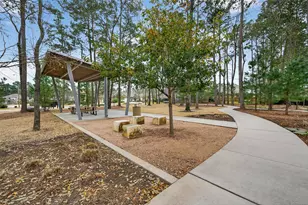 810 Spruce Pine Dr, Willis, TX 77318 - Photo 49