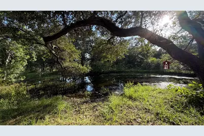 26011 Bernard Road, New Ulm, TX 78950 - Photo 3