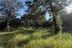 26011 Bernard Rd, New Ulm, TX 78950 - Photo 19