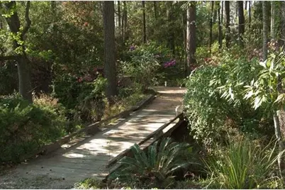 19410 Nehoc Lane, Houston, TX 77346 - Photo 21