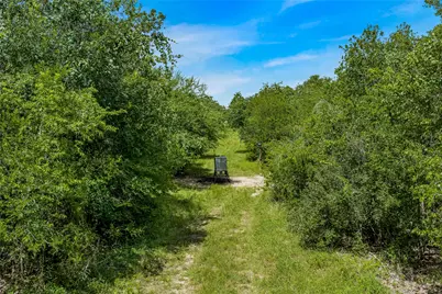 000 McGuill Road, Goliad, TX 77963 - Photo 11