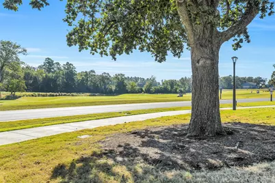 10031 Lehman Drive, Willis, TX 77318 - Photo 27