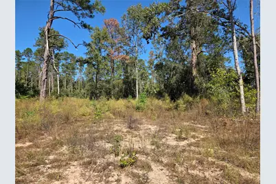 108 Acres Morgan Cemetery Road, Cleveland, TX 77328 - Photo 5