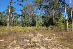 11245 Ward Rd, Cleveland, TX 77328 - Photo 5