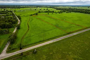 00 County Road 100, Boling, TX 77420 - Photo 1