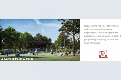 1732 Howler Way, Montgomery, TX 77316 - Photo 41